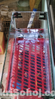 মাছের একুরিয়াম